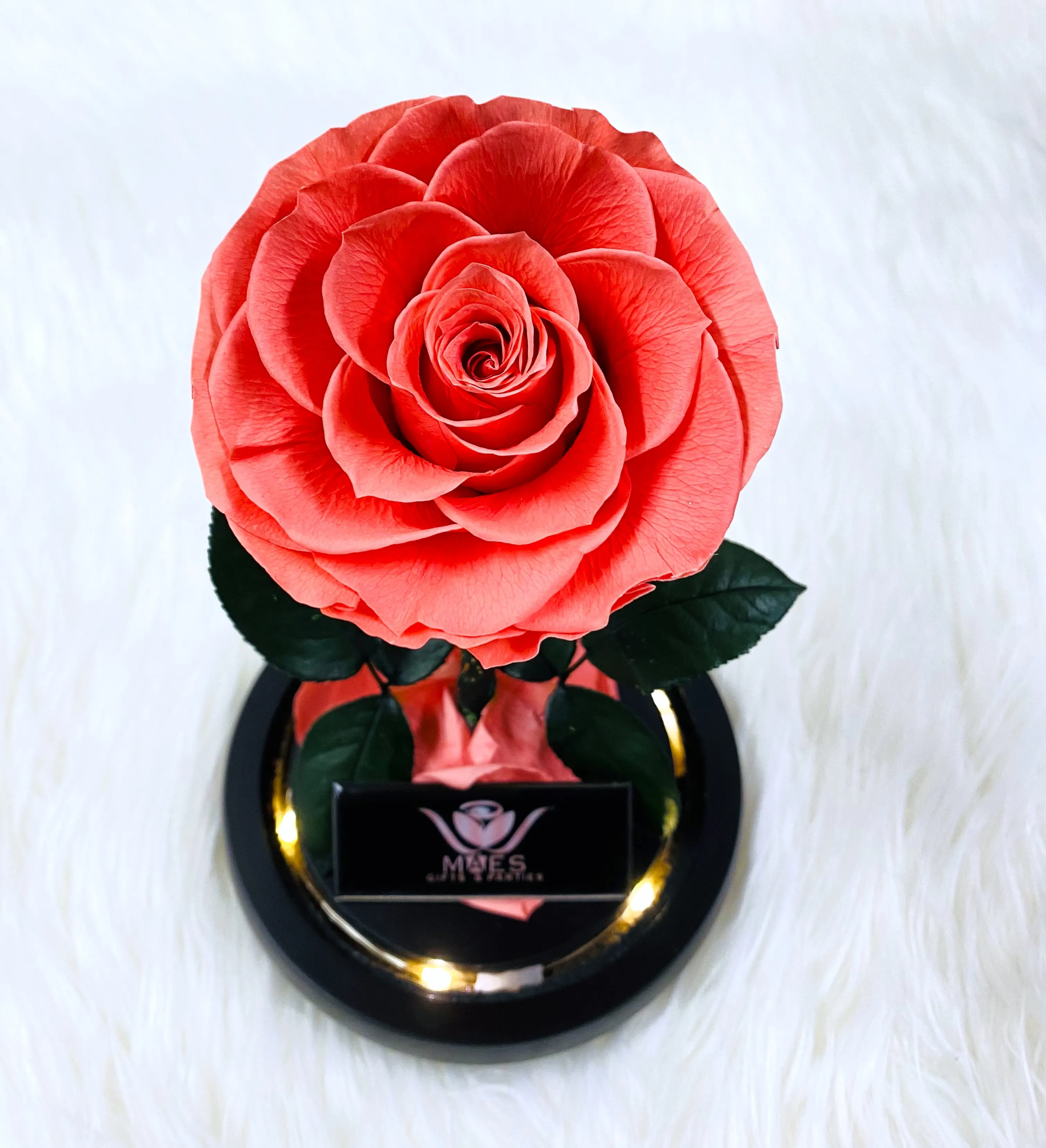 Single Preserved Rose -Tall | Deep Peach