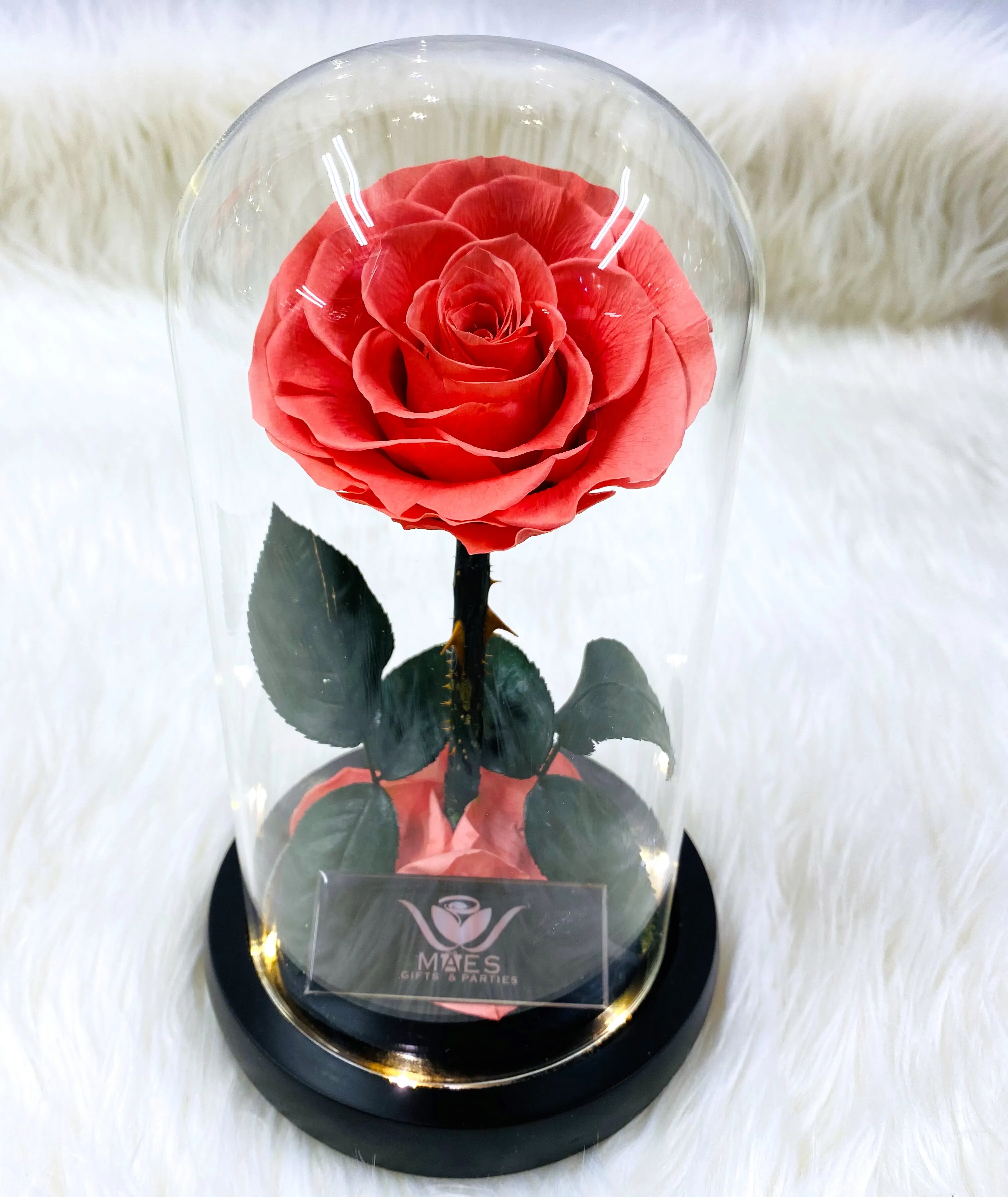 Single Preserved Rose -Tall | Deep Peach