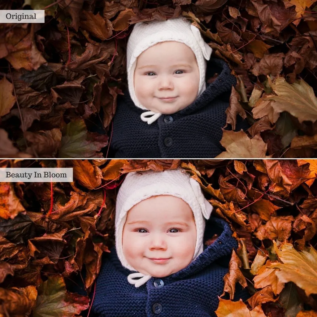 Sip of Cider - Autumn Lightroom Presets – Desktop & Mobile