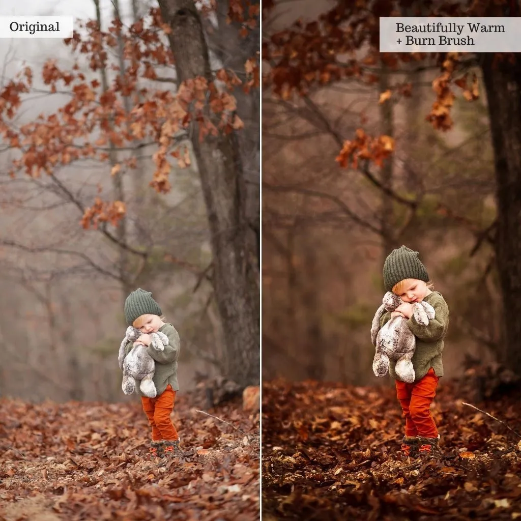 Sip of Cider - Autumn Lightroom Presets – Desktop & Mobile