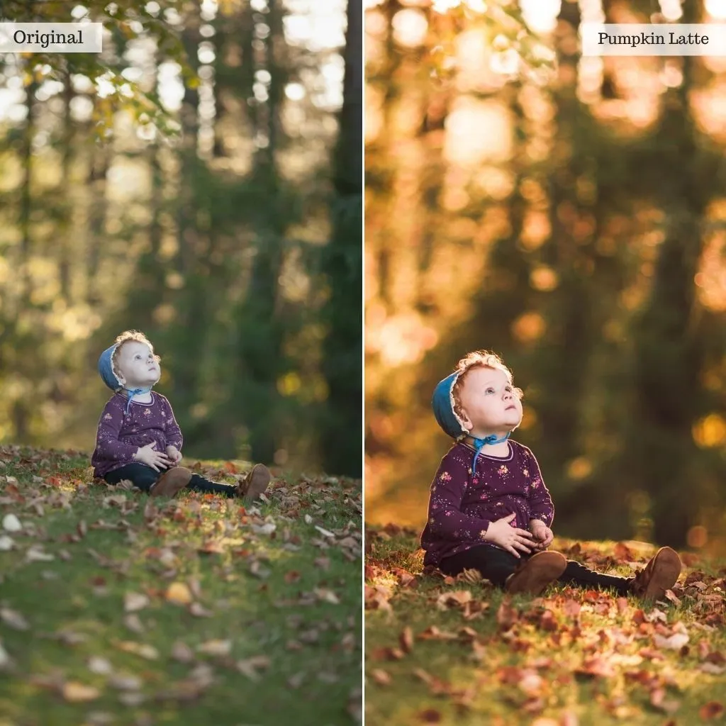 Sip of Cider - Autumn Lightroom Presets – Desktop & Mobile