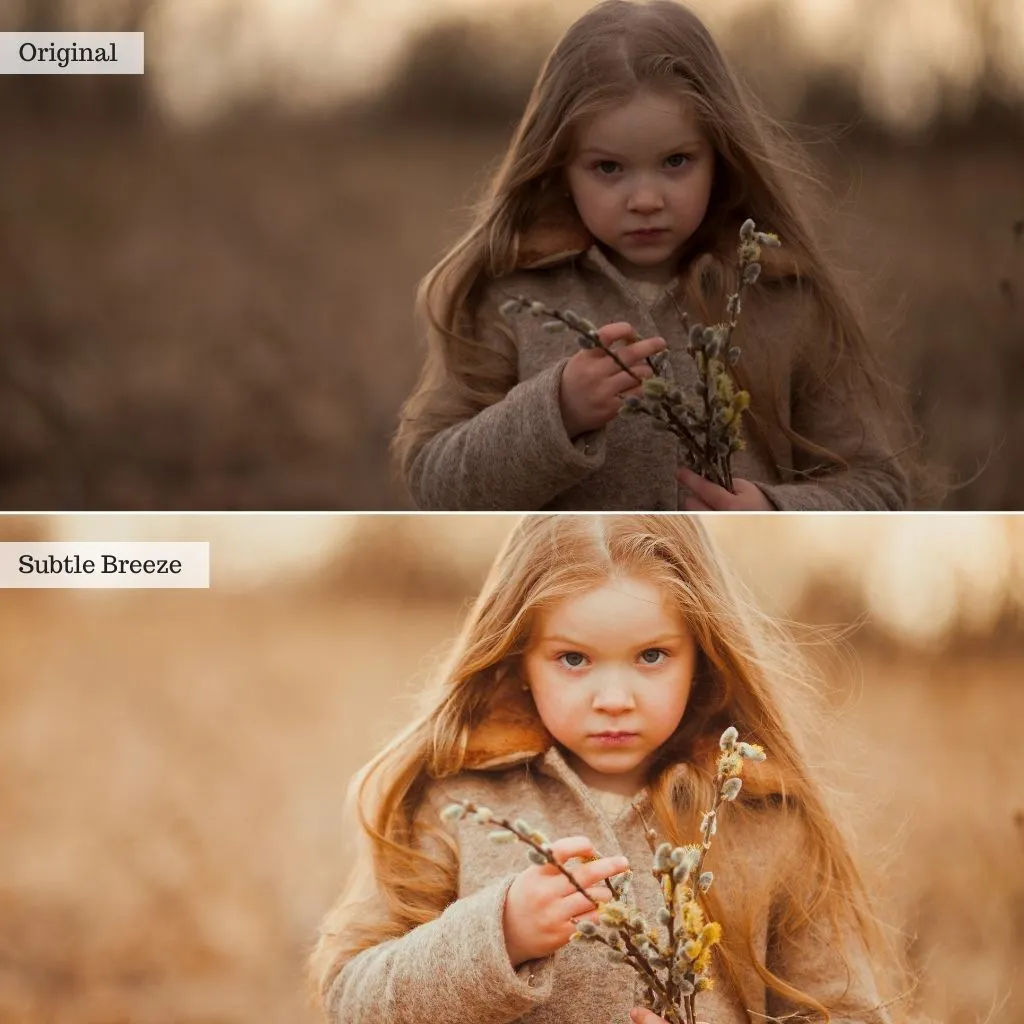 Sip of Cider - Autumn Lightroom Presets – Desktop & Mobile