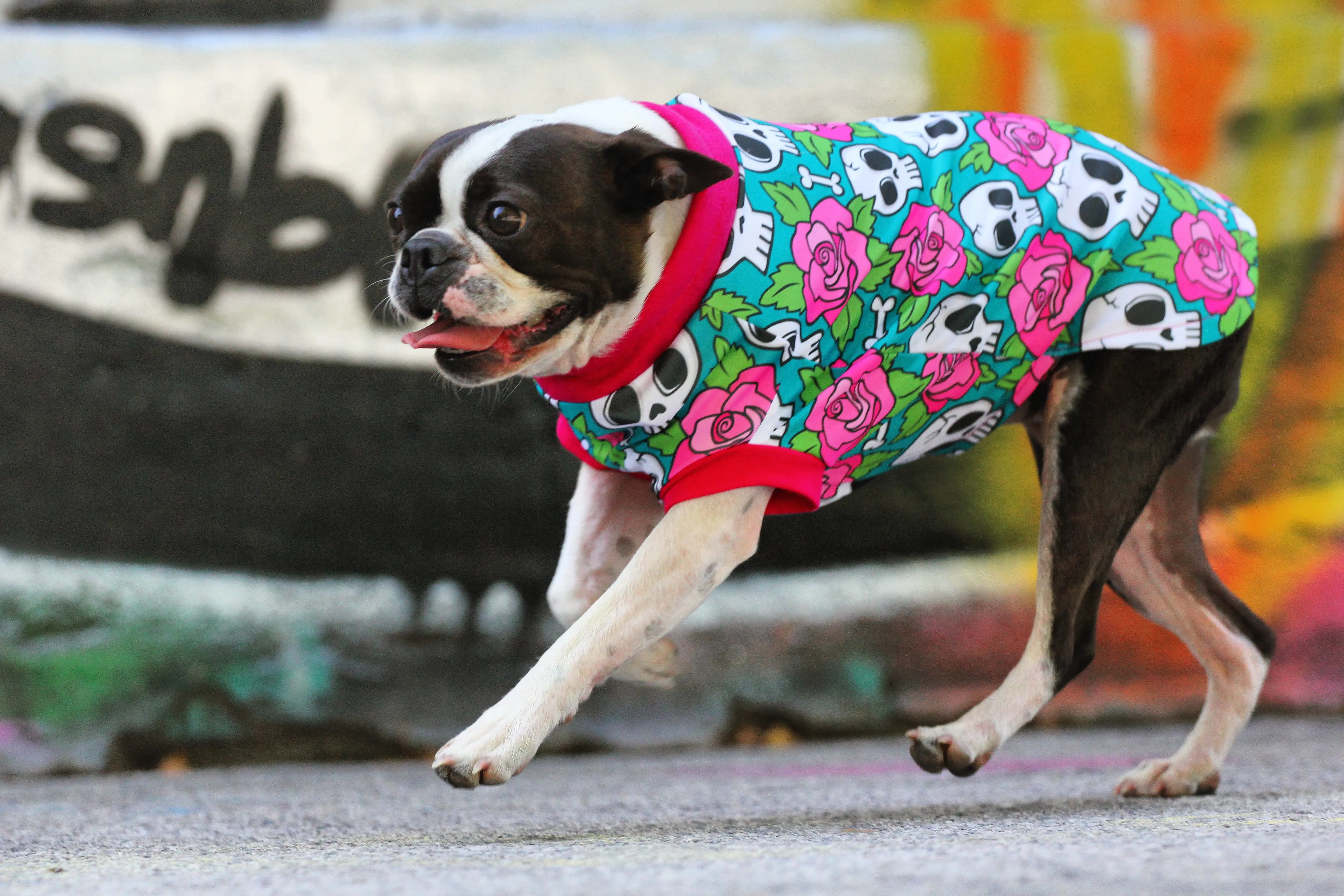 Skull & Roses Dog Pajamas