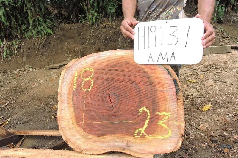 Slab LH19131AMA