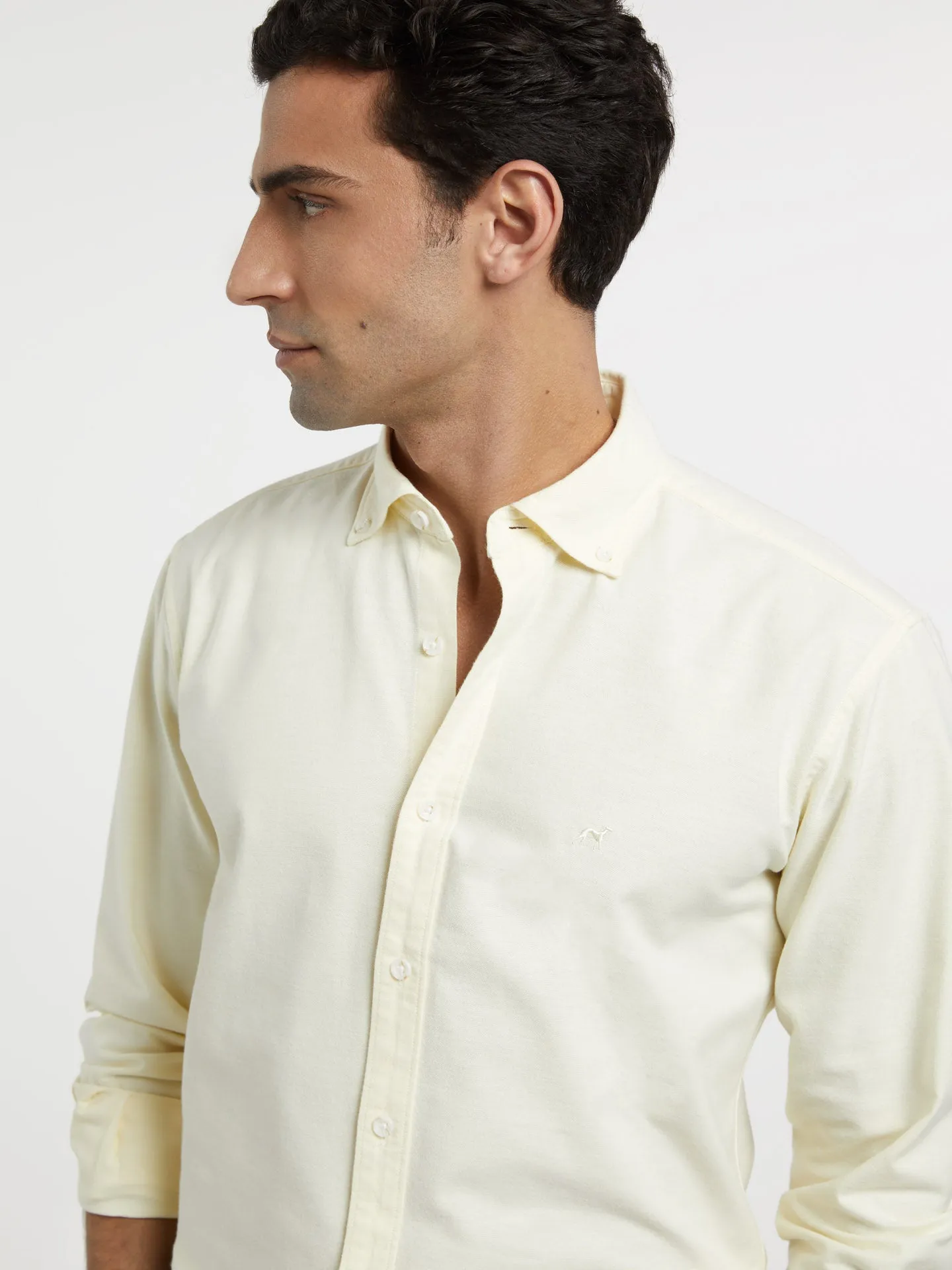 Slim fit oxford shirt