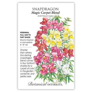 Snapdragon Magic Carpet Blend Seed Pkt