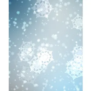 Snowflake Sparkles Printed Backdrop