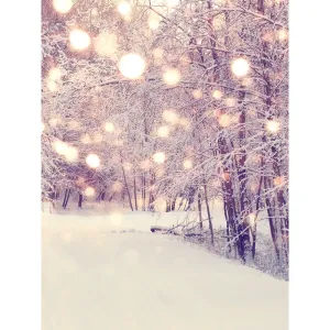 Snowy Bokeh Woods Printed Backdrop