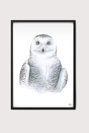 Snowy Owl Fine Art Print