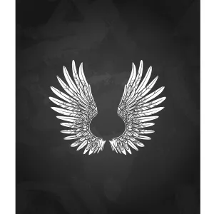 Soaring Wings Printed Backdrop