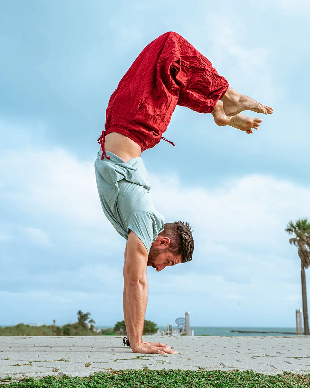 Solid Miami Jogger Harem Pants