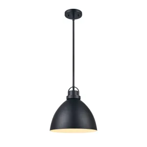 Somerville 1-Light Pendant in Matte Black