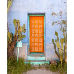 Southwestern Door Printed Backdrop