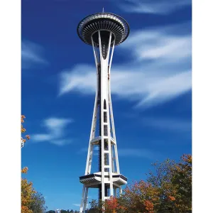 Space Needle Scenic Printed Backdrop