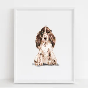 Spaniel