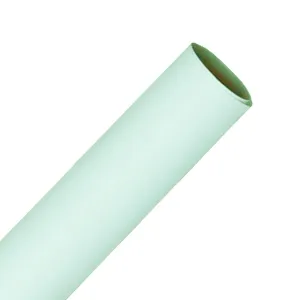 Spectrum Non-Reflective Full Paper Roll Backdrop (2.2 x 10M) - Mint To Be Green