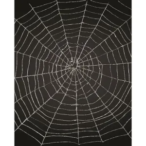 Spider Web Printed Backdrop