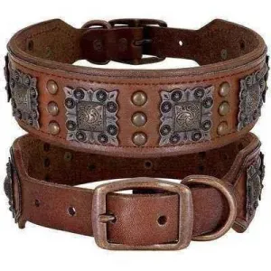 Spike Leather Dog Collar