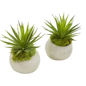 Spiky Agave Artificial Plant in Planter (Set of 2)