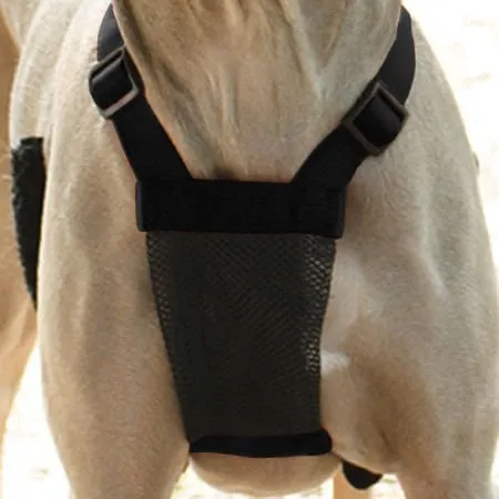 Sporn Non-Pulling Mesh Harness, Medium