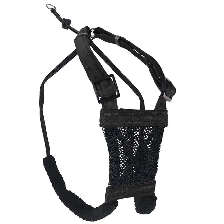 Sporn Non-Pulling Mesh Harness, Medium