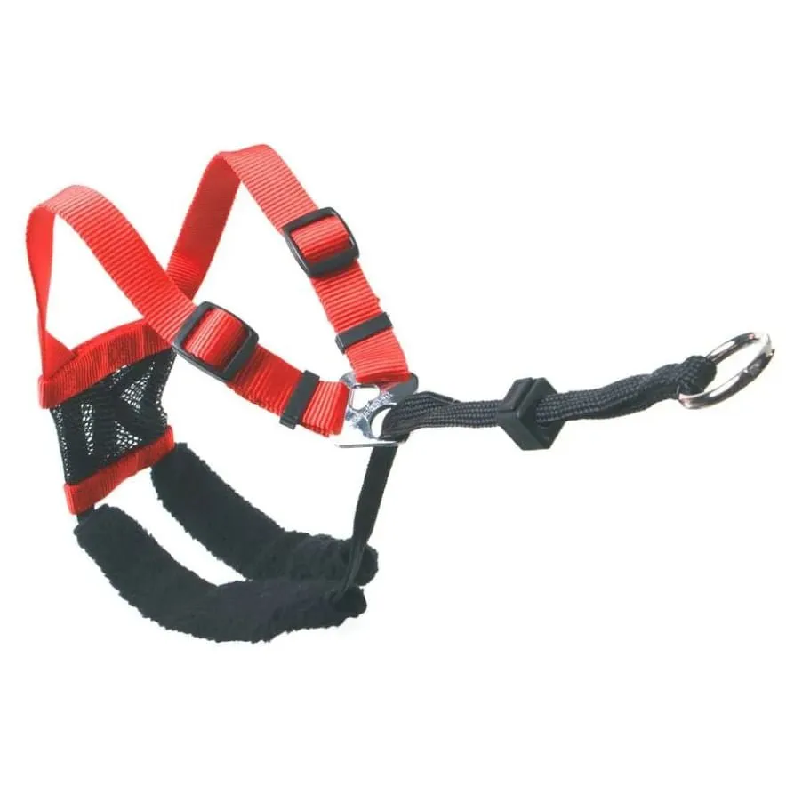 Sporn Non-Pulling Mesh Harness, Medium