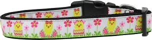 Spring Chicken Nylon Dog Collar Sm