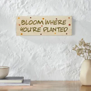 Spring In Bloom Bloom Where You're Planted MDF Wall Sign 5x14x0.75