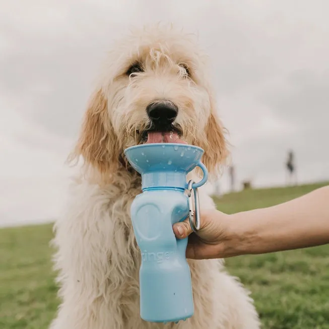 Springer Classic Travel Dog Water Bottle - Sky Blue