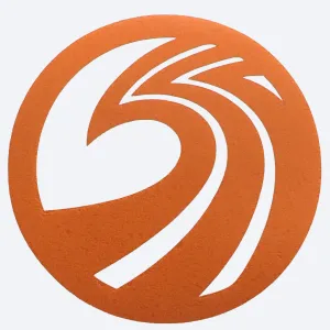 SSS - OG Wave Transfer Sticker - 4.25" Day-Glo Orange