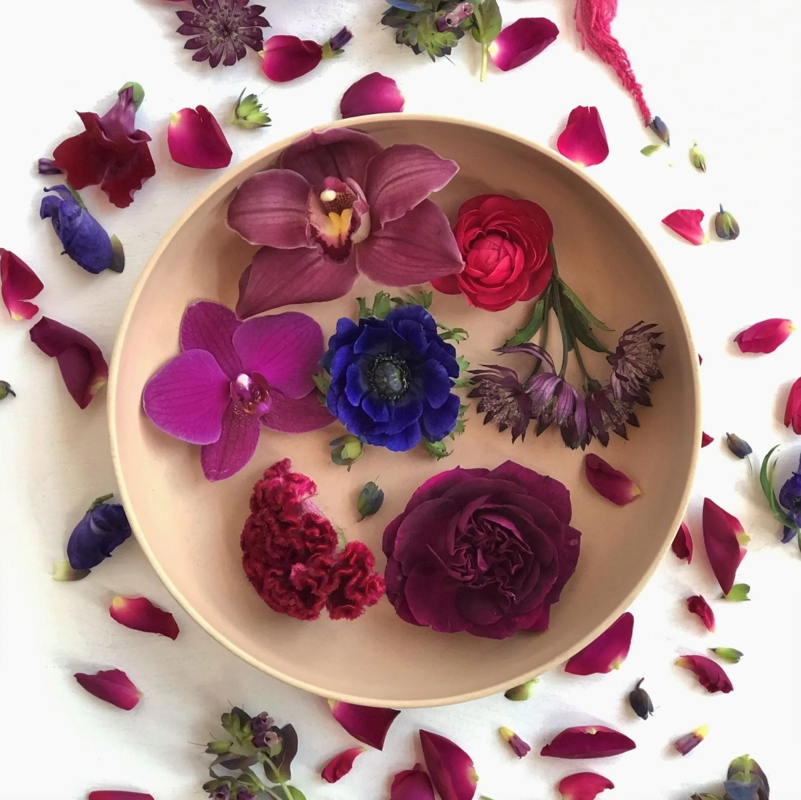 Stacy K Floral | The Luxe Vahz Floral Subscription