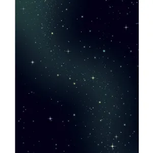 Star Constellations Printed Backdrop