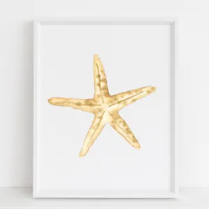 Starfish