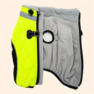 Stay Warm in Style with Fluorescent Green Dog Coat