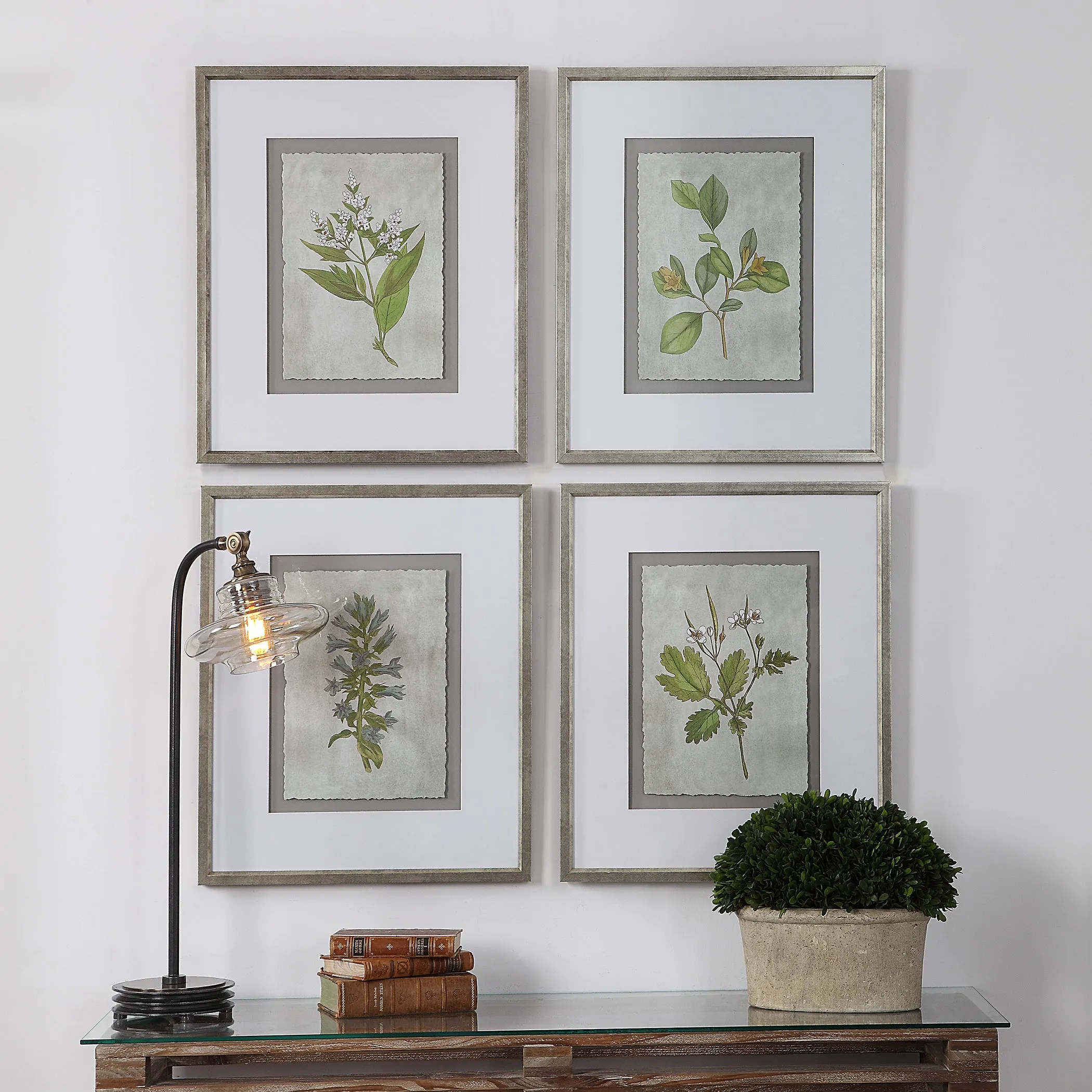 Stem Study Framed Prints Set/4