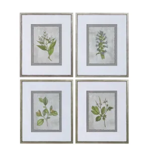 Stem Study Framed Prints Set/4