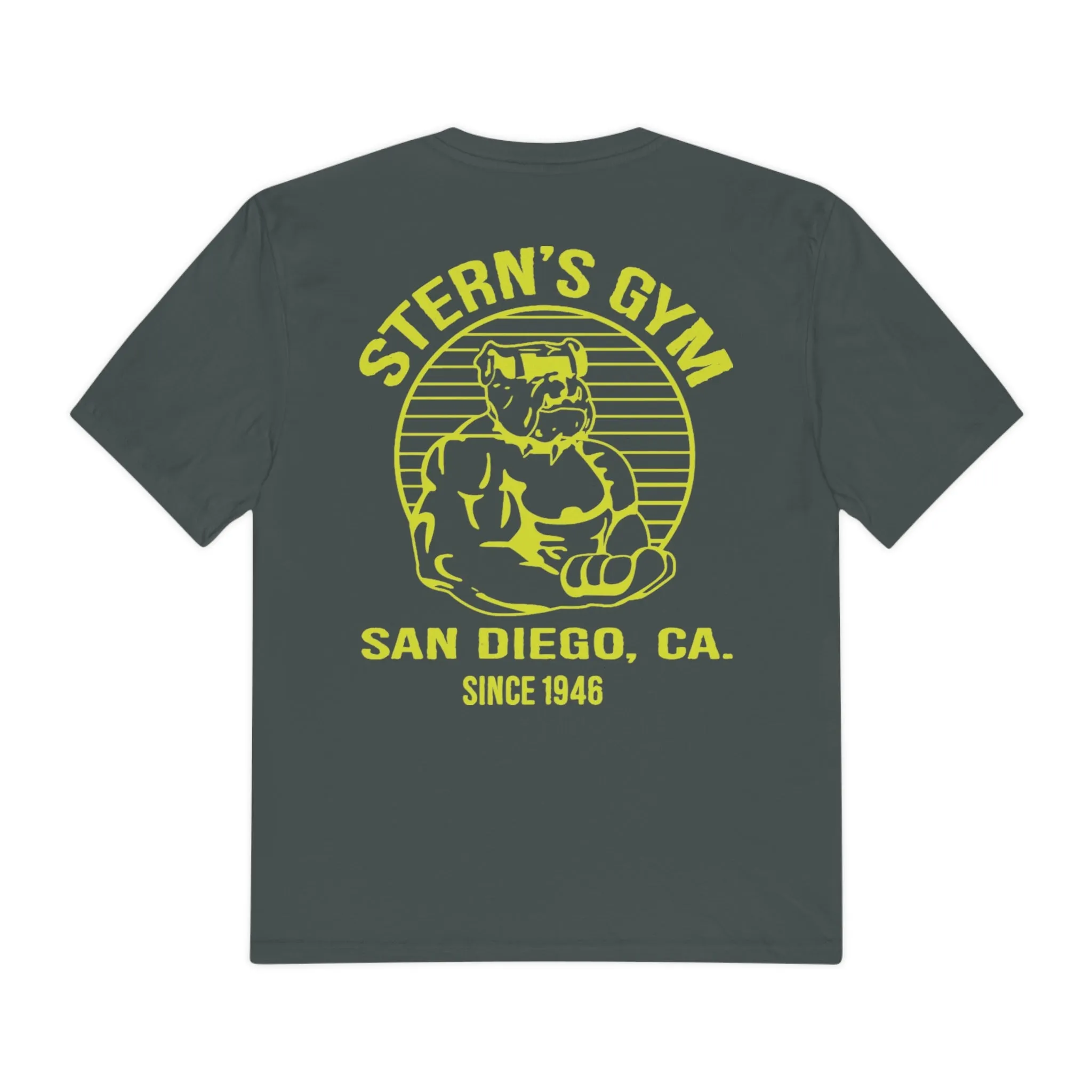 Stern's Gym Clothing Company Shirt