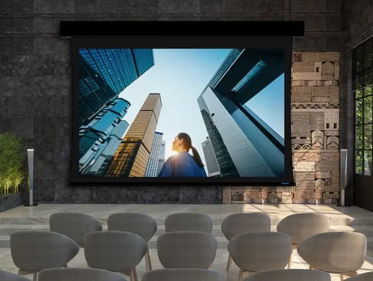 Stewart Filmscreen Luxus Medio Retractable, Below Ceiling Screen [Custom]