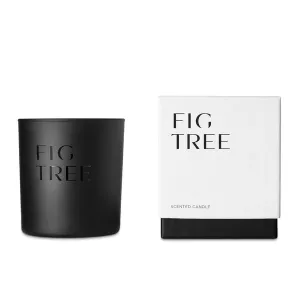 Stockhome Fig Tree Candle