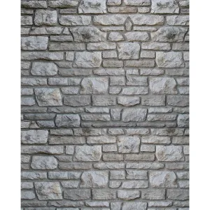 Stone Brick Printed Backdrop