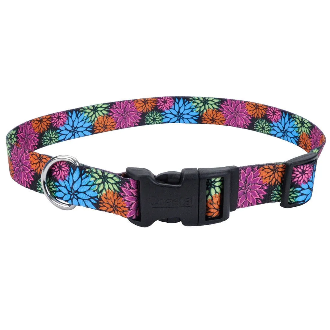 Styles Adjustable Dog Collar