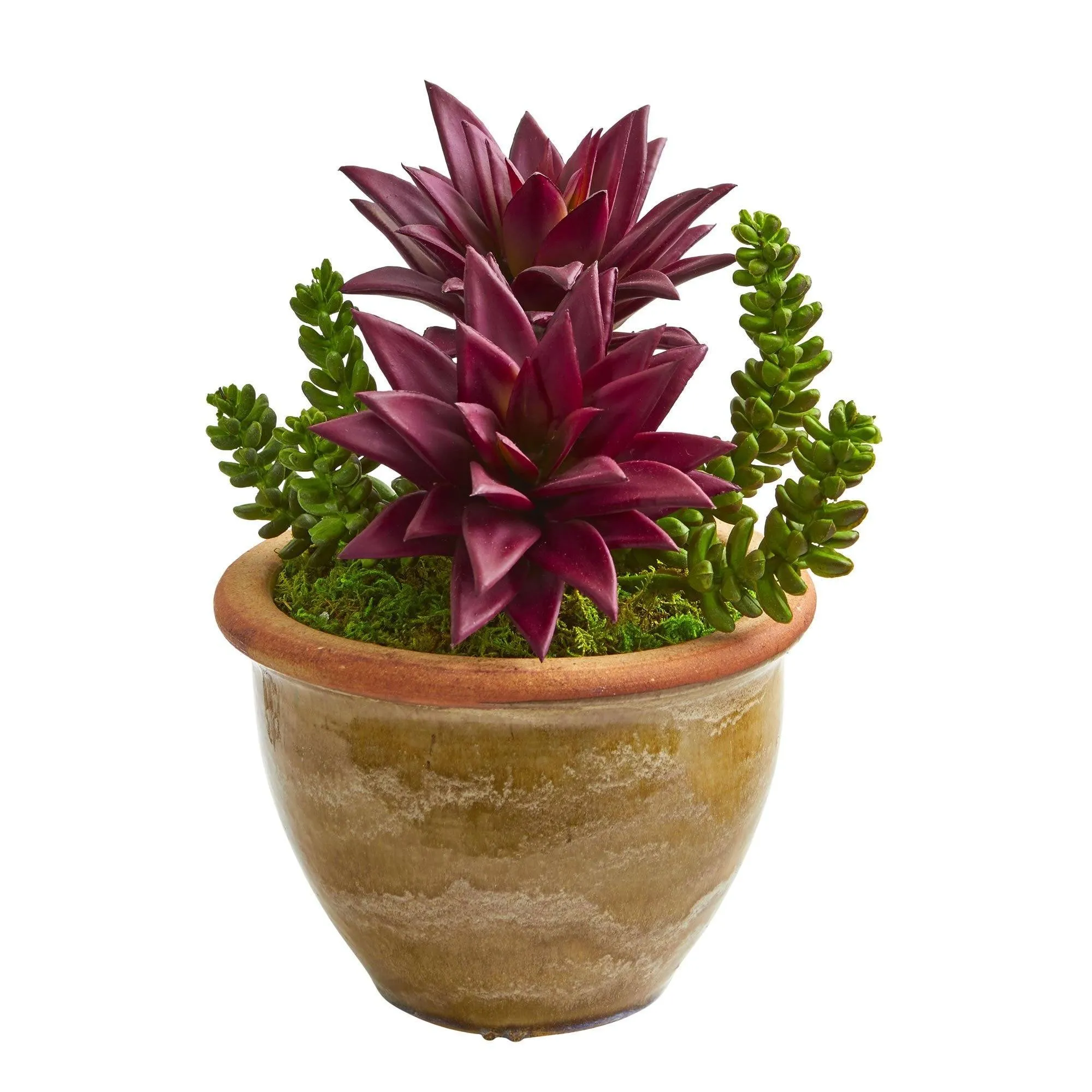 Succulent Artificial Plant in Ceramic Planter (Set of 2)