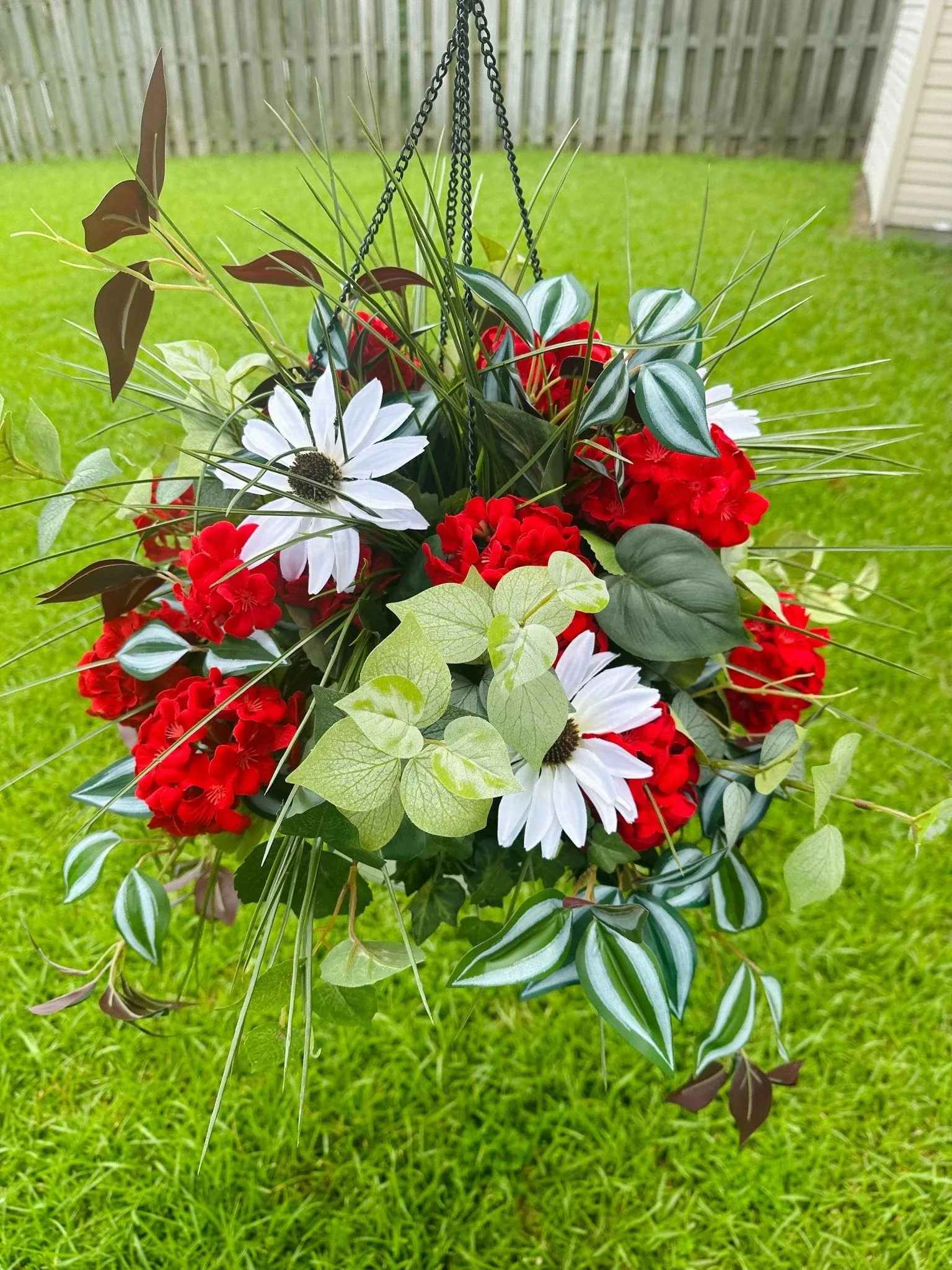 Summer-Ready  Red Geranium Hanging Basket