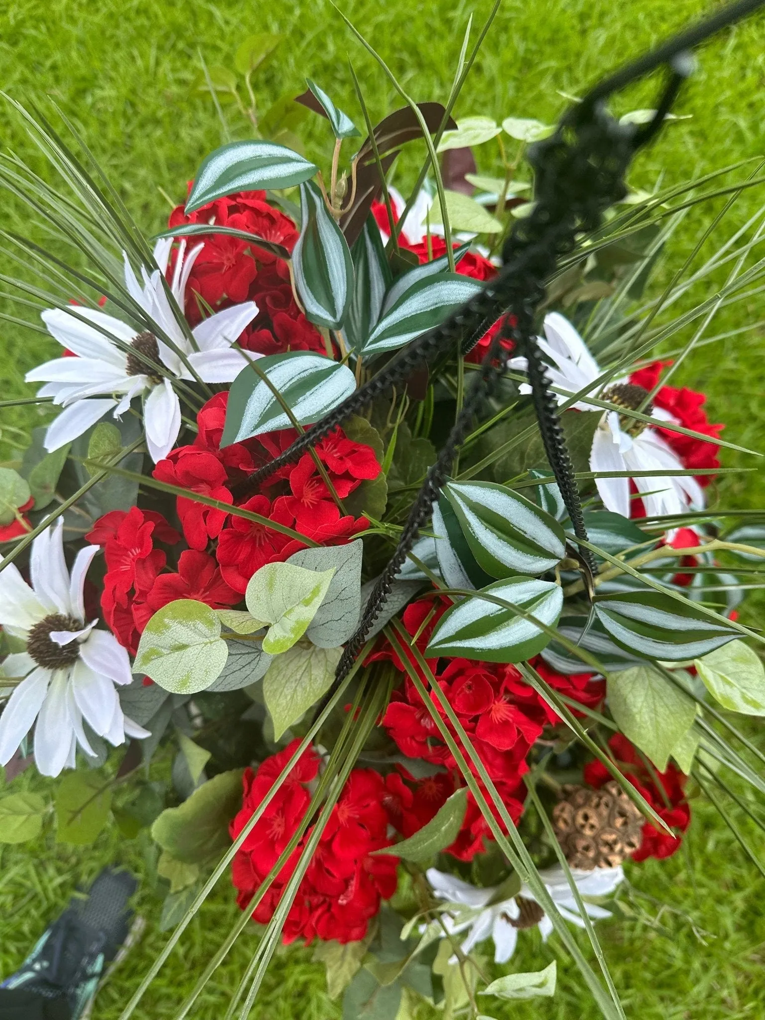 Summer-Ready  Red Geranium Hanging Basket