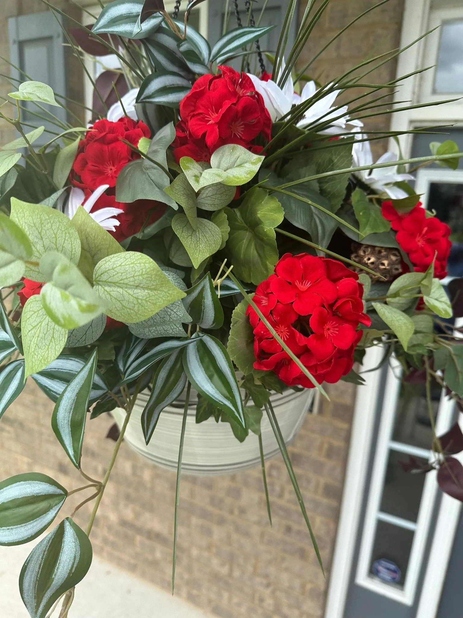 Summer-Ready  Red Geranium Hanging Basket