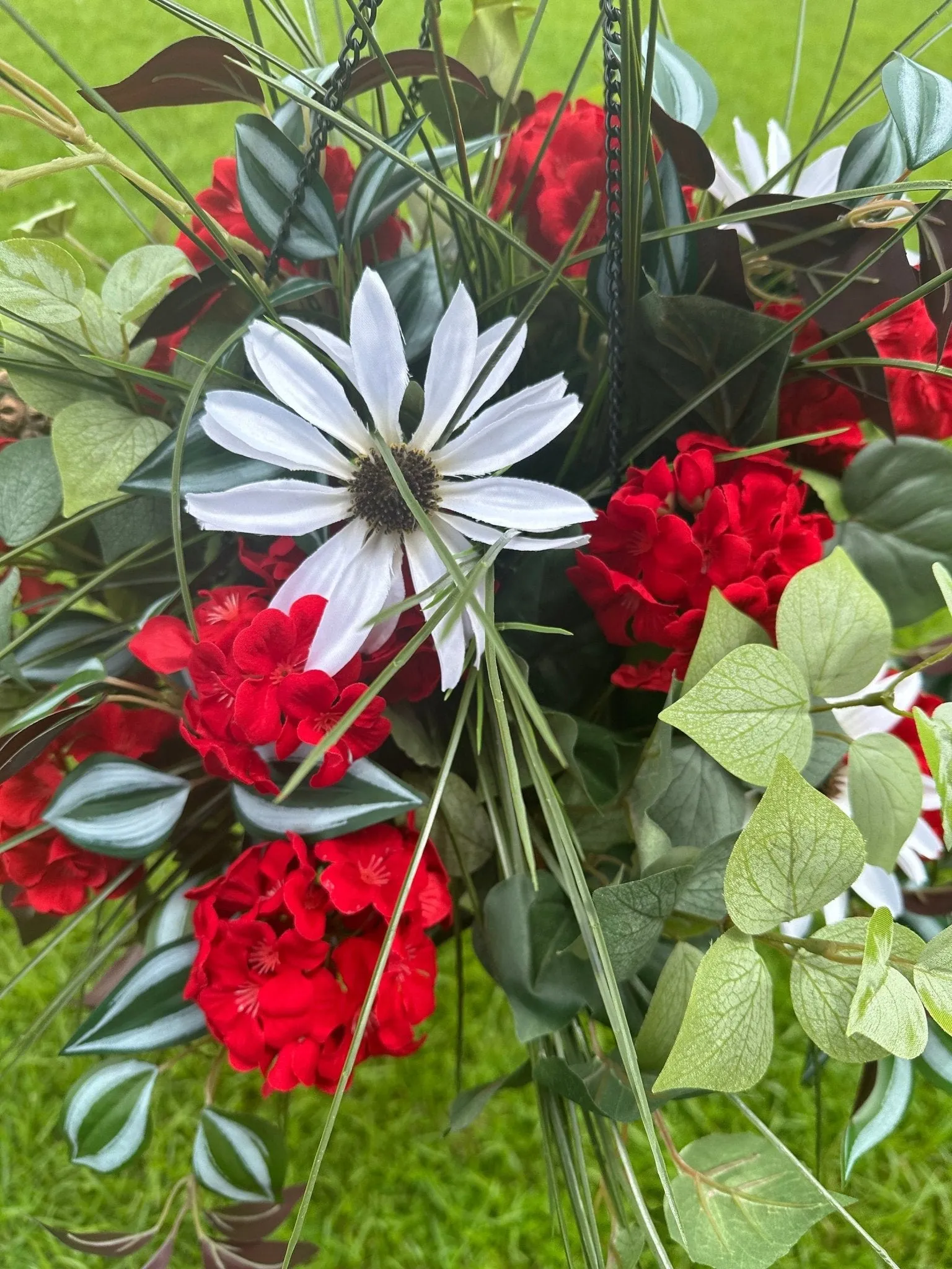 Summer-Ready  Red Geranium Hanging Basket