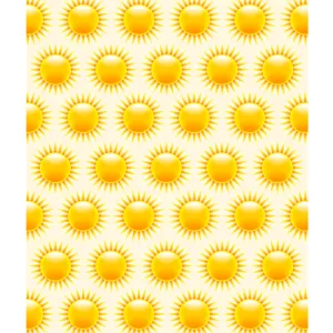 Summer Sun Printed Backdrop