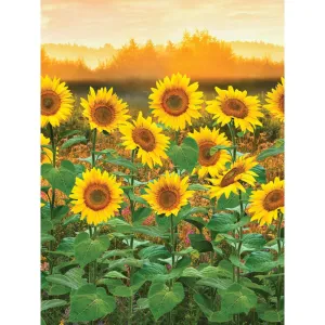 Sunflower Blossoms Printed Backdrop