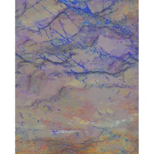 Sunset Marble Printed Backdrop