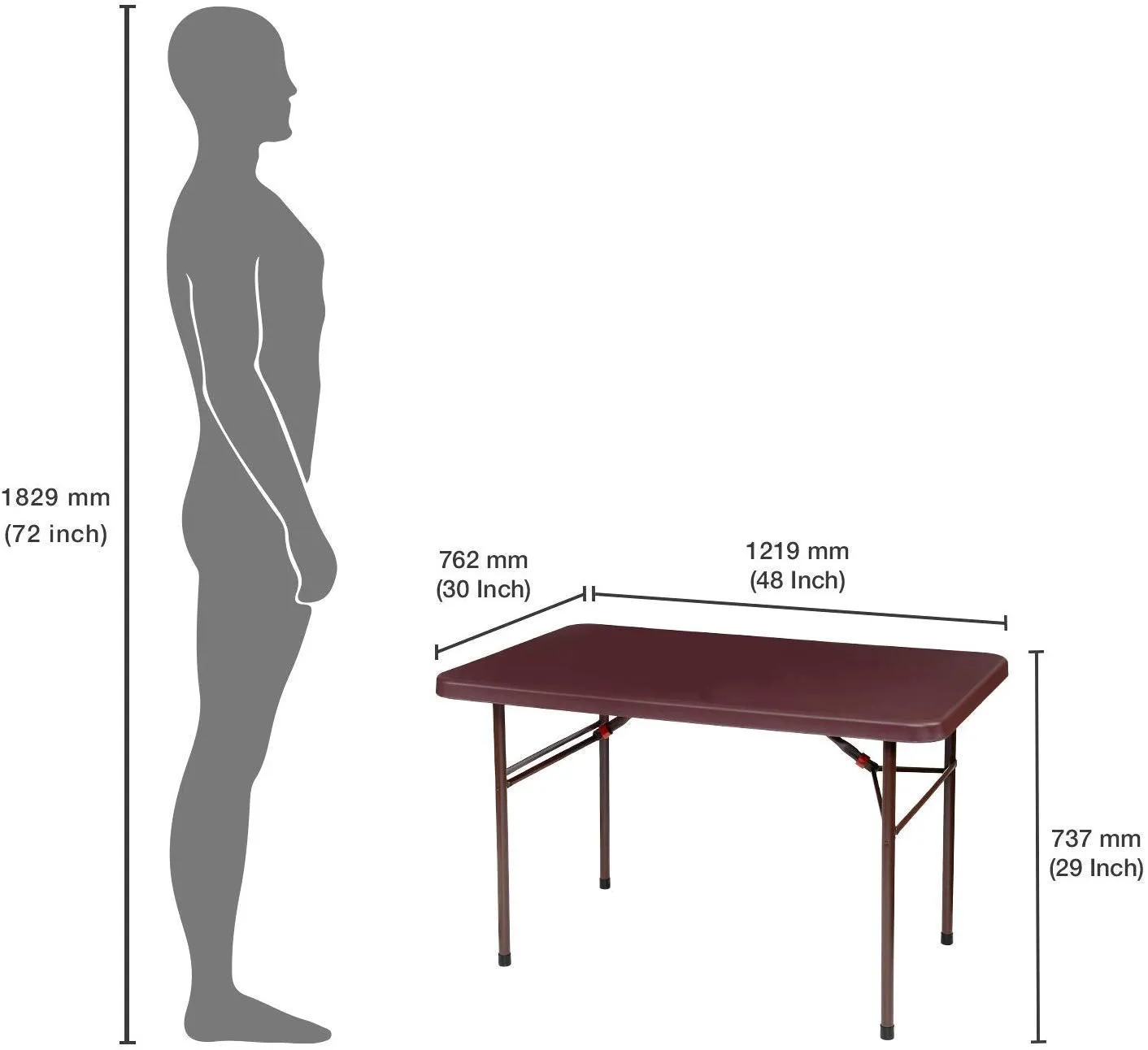 Supreme Furniture Swiss Blow Moulded Table (Color: Globus Brown, Qnt: 1 Pcs.), Plastic